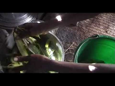 KIOTIS / ITALIAN  VOICE OVER (EUROPA DUBBING)