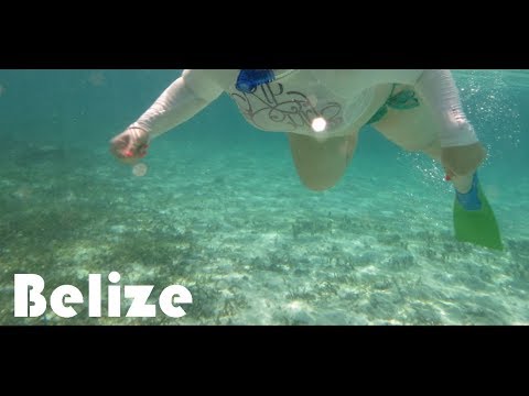 Belize Scuba Diving