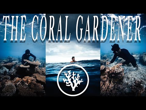 The Coral Gardener - A Young Tahitian Man's Quest To Save The World's Coral Reefs