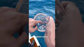 Where Ocean Plastic Actually Ends Up 😨