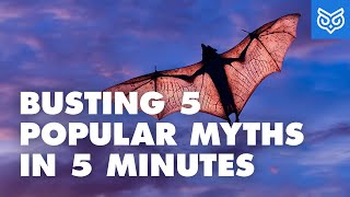5 FALSE FACTS YOU PROBABLY THOUGHT WERE TRUE | DEBUNKING 5 POPULAR MYTHS | Part 3