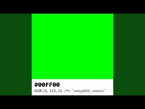 #00FF00