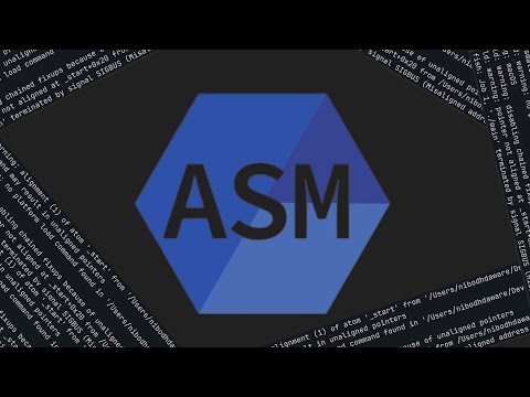 I Tried Assembly (help me)