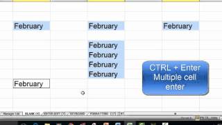 Excel Tips -- Data Entry Shortcuts