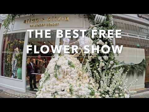 The Best Free Flower Show In the World | Chelsea In Bloom 2025