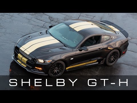 2016 Shelby GT-H Rent-A-Racer