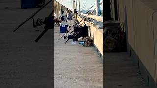 How to Find a Fishing SPOT #fishinghowto #fishingspots #bridgefishing #fishingtechniques #fishingfun