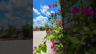 City Plaza, Jashore... #love #music #romantic #unfrezzmyaccount #movie #banglanatoknew #jovan