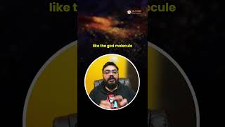 important of C #programming #sna #coding