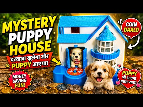 Tiny Puppy Coin House Challenge 🐶🏠💰