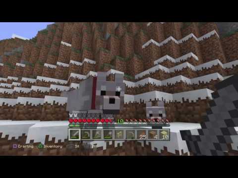 Surviver day 1# [minecraft]