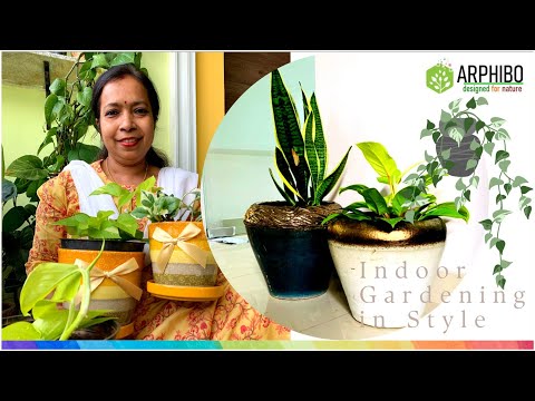 Indoor Garden in Style at Home, Amazing benefits of Gardening #indoorgarden #indoorplants #planters