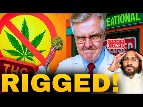 They KILLED THC and BANNED Home Grows… to BOOST the CARTELS?! 😱🤯