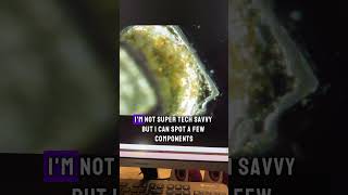 RAM Memory Module Under Kids Microscope #kidsmicroscope #kidscientists #kidslearning