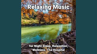 Relaxing Music to Chill To