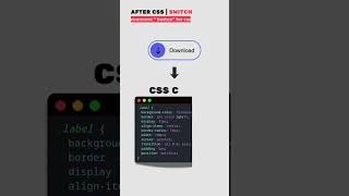 🎨 Before & After CSS | Transformasi dari Polos ke Interaktif! 💻
