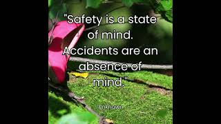Workplace Safety Quotes  #business #workersafety #safetytips #safetyfirst