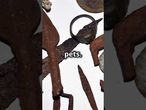 5 mind blowing facts about ancient rome #youtubeshorts #fascinatingwildlife #facts #funfacts