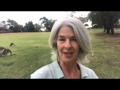 Jane Kinnear Testimonial for Frank Mulcahy