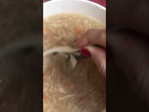 Soup shorts #tomatosoupshorts #chickenvegetablesoupshorts #mushroomsoupshorts #soupsongshorts