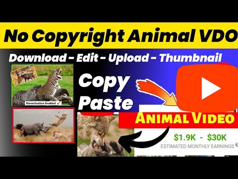 $1900/ Month || Copy Paste Animal Videos || Animals free copyright videos