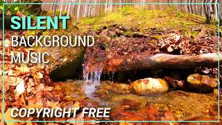 Silent Background Music No Copyright | Royalty Free Music | Download Now for free