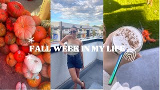 FALL WEEK IN MY LIFE as a nurse practitioner | work frustrations, decorate with me, cozy cooking