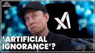 The Icarus Paradox: The Exodus at Elon Musk's xAI Company | Terence Mauri