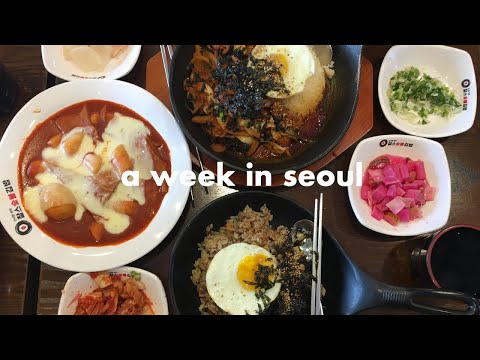 SEOUL VLOG: Cafés, Busking, DMZ + more | Asia 2019