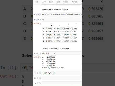 Column Indexing in Python DataFrame Explained | Jan 2025