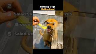 Ranking Dogs Hating Food
