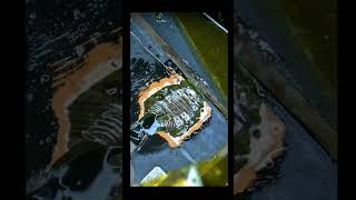 Camera Felix Cutting Ripening Master Trick 🔥 | 100% Working Fix | Wasim Alfiya Mobile