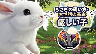 ウサギの世話の仕方は？ ｜動物ドキュメンタリー