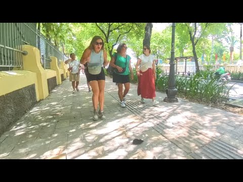 Bushman: The street prank that makes people scream when they see it