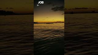 #houstonjobseeker #ukjobseekers #njjobseekers #texasjobseekers #jobseekerlife #expatjobseeker #bosto