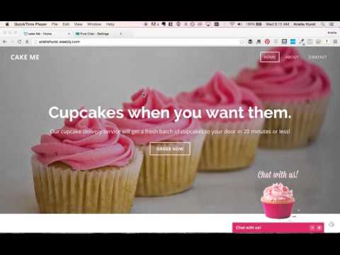 Pure Chat Updates: Javascript APIs, Weebly app, and more!