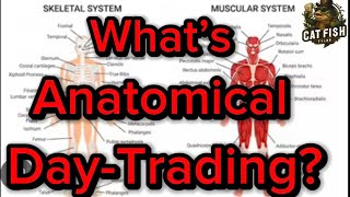 Anatomical Day-Trading? Learn From 25 Yrs Trading Experience.  Catfish Tyler