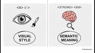 The Explainer  What is HTML