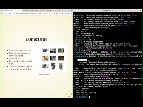 DataLad for Machine Learning - An Introduction