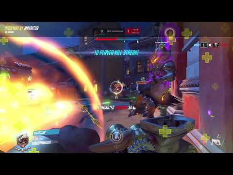 Hog Wild