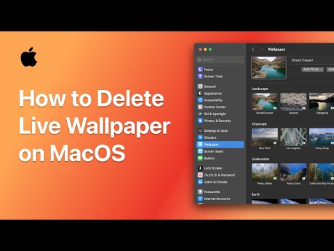 How to Delete Live Wallpaper on MacOS