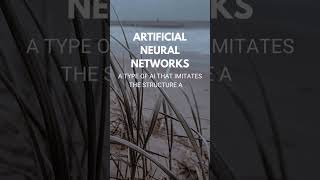 What are Artificial Neural Networks