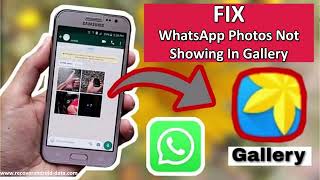 Fix WhatsApp Photos Are Not Showing In Gallery