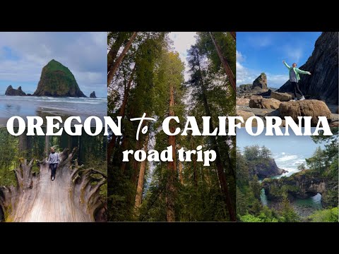 oregon to california road trip! oregon coast, redwood national & state parks, astoria