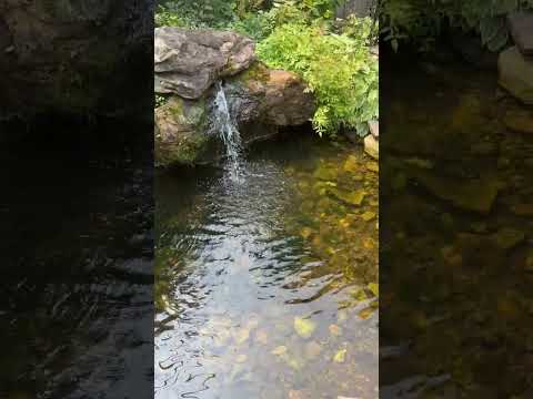 Relaxing Music -  Afternoon Stroll