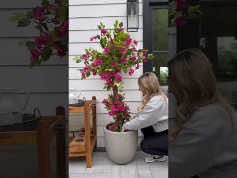 Amazon outdoor plants! 🌺 #amazonfinds #amazonhome