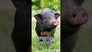 #deepknowledge top 10 populated animals @##