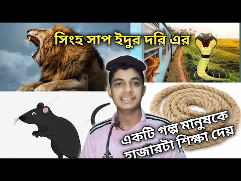 একটি গল্প মানুষকে হাজারটা শিক্ষা দেয়। সিংহ সাপ ইঁদুর ধরির নতুন শিক্ষনীয় ভিডিও