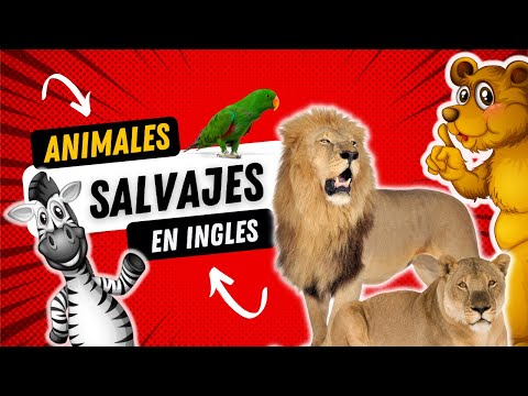 Animales Salvajes en Inglés para niños | Videos Educativos para Niños