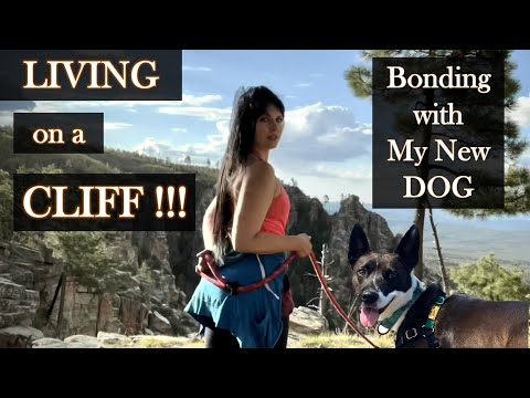 BONDING with my NEW DOG While LIVING on a CLIFF!!!